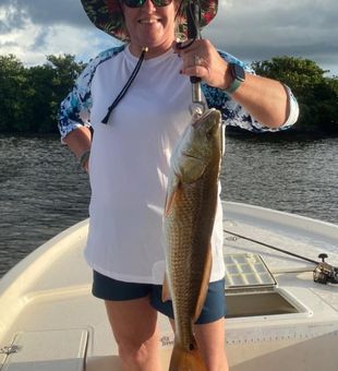 Redfish in Florida